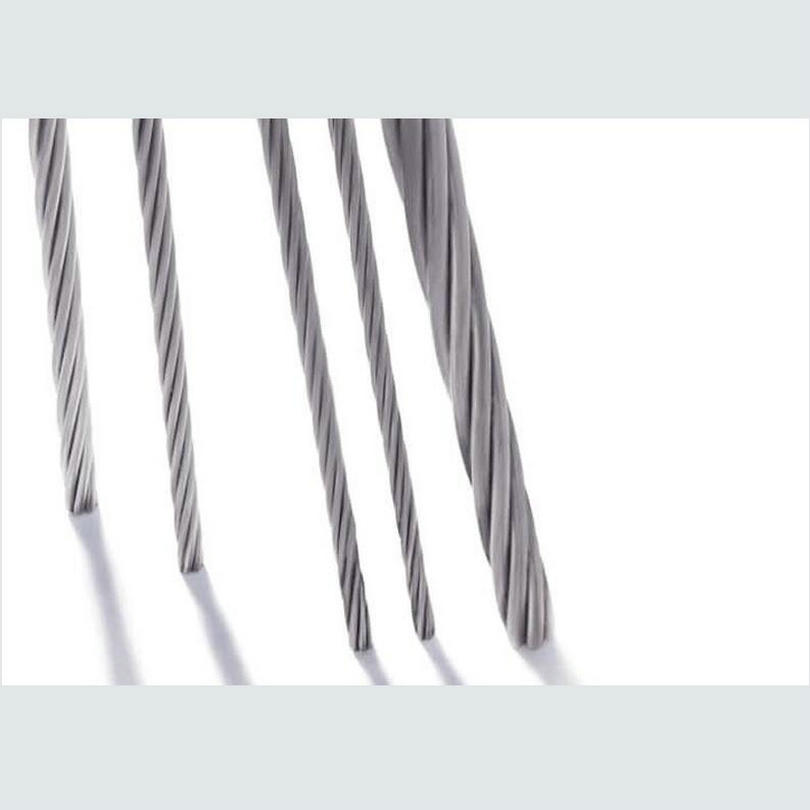 HQ HW02 SS316 Marine Grade Sta - Stainless Wire Ss316 ulasan dan harga